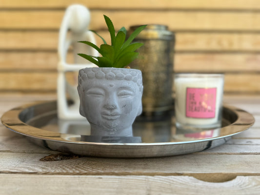 Buddha Head With Succulent *